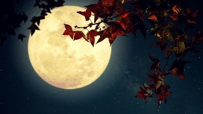 Full-Moon